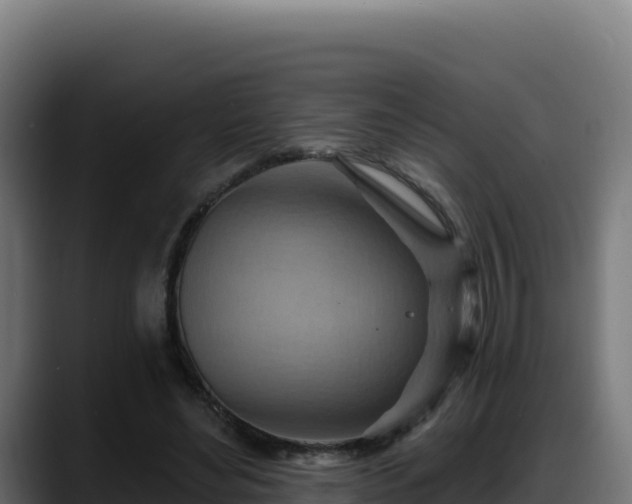 X0000088380492200705291351