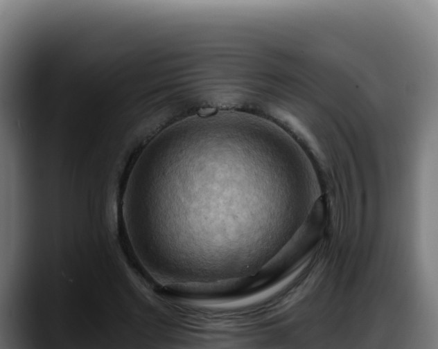 X0000088380493200705291350