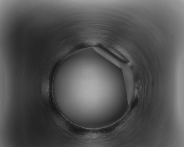 X0000088380494200705291350