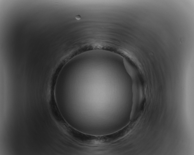 X0000088380496200705291350
