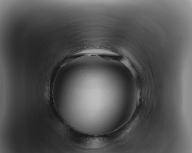 X0000088380497200705291350