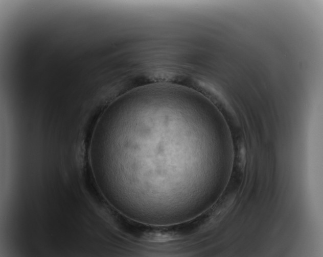 X0000088380498200705291350