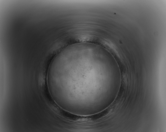 X0000088380499200705291350