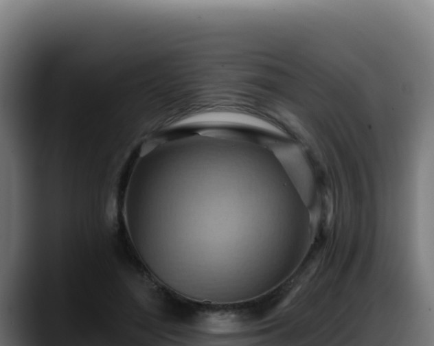 X0000088380500200705291350