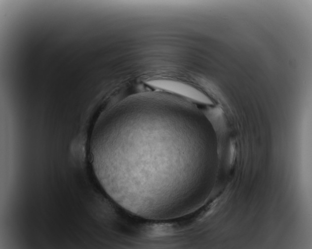X0000088380501200705291350