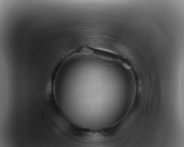 X0000088380502200705291350