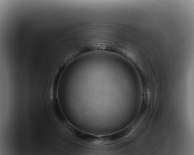 X0000088380504200705291350