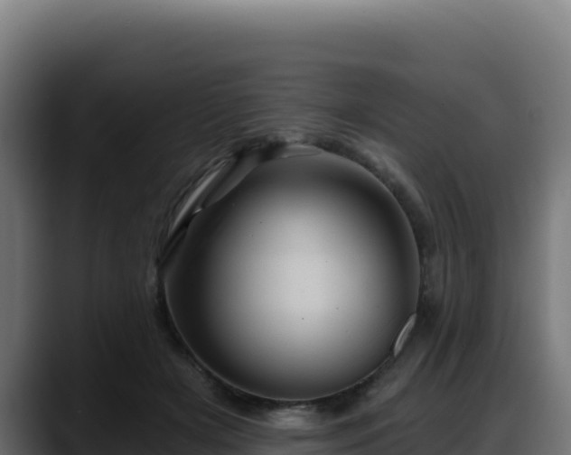 X0000088380505200705291350