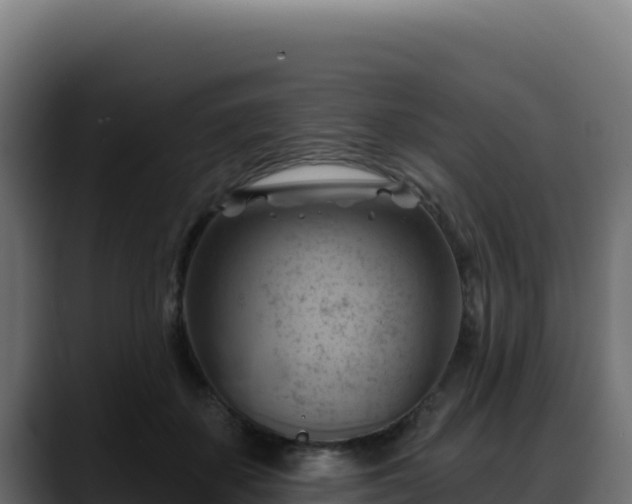 X0000088380507200705291350