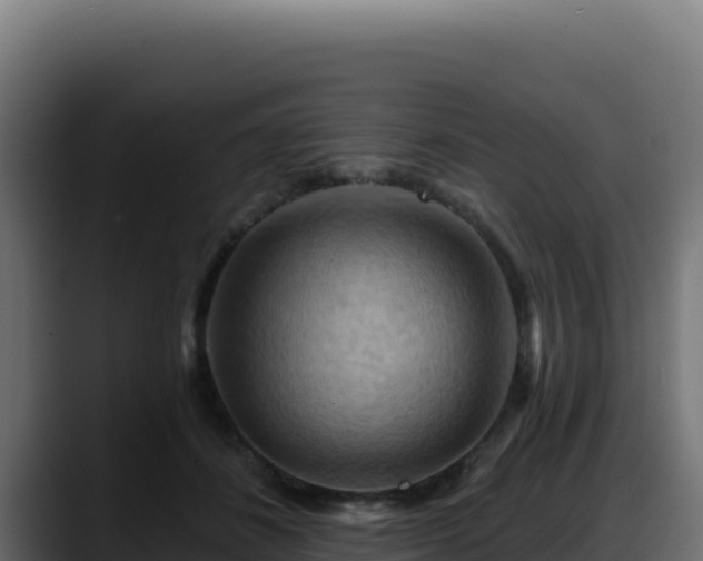 X0000088380508200705291350