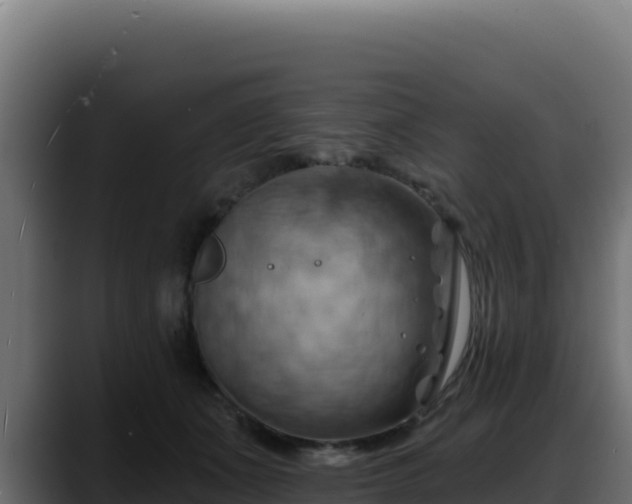 X0000088380511200705291350