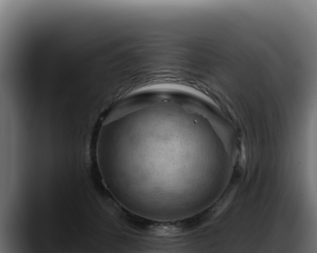 X0000088380512200705291350
