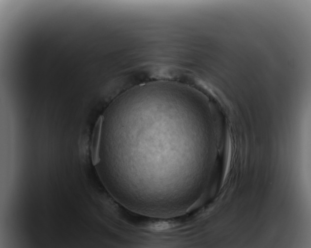 X0000088380513200705291350