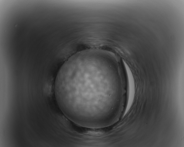 X0000088380515200705291350