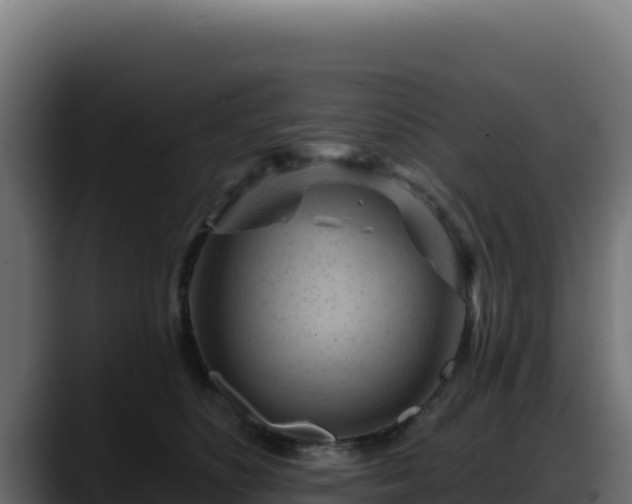 X0000088380516200705291350