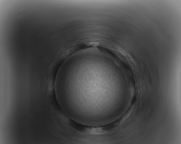 X0000088380517200705291350