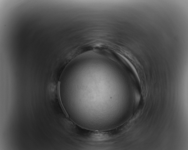 X0000088380521200705291350