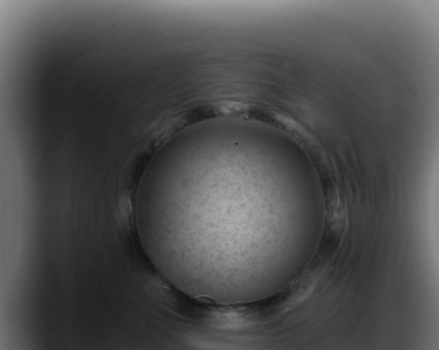 X0000088380523200705291350