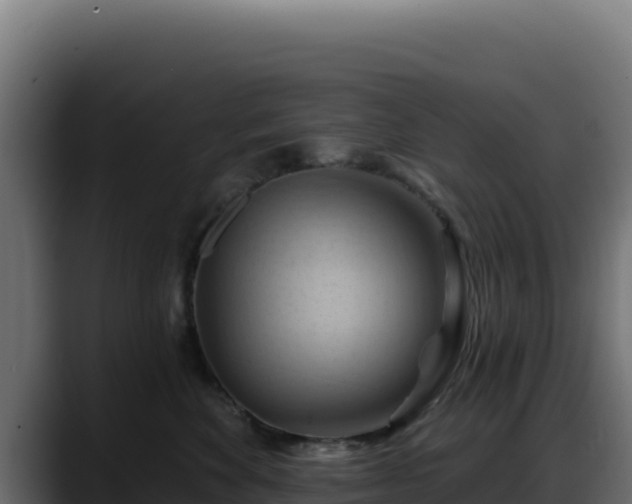 X0000088380524200705291350