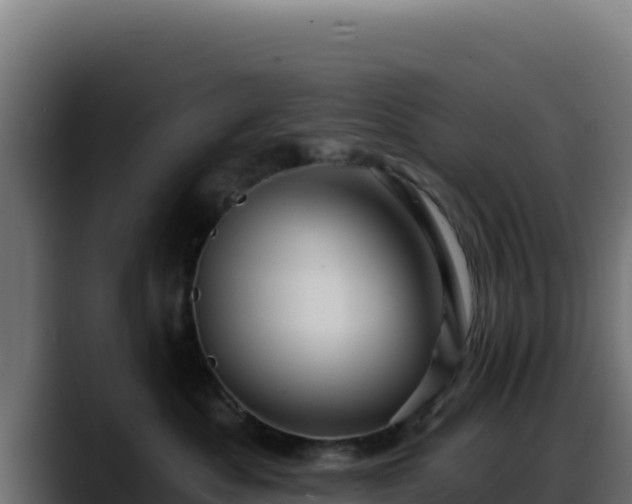 X0000088380525200705291350
