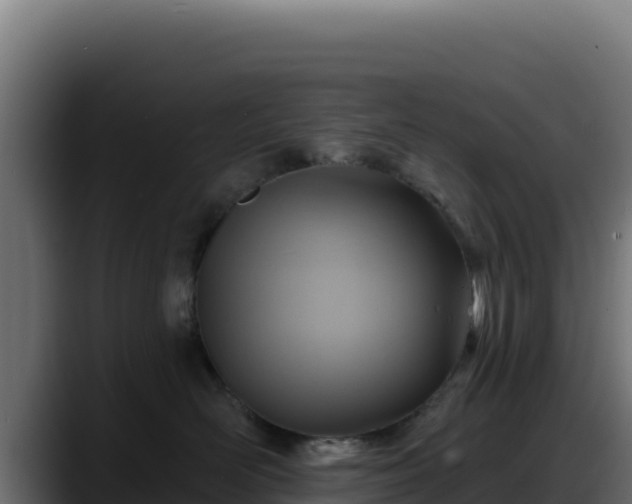 X0000088380526200705291350
