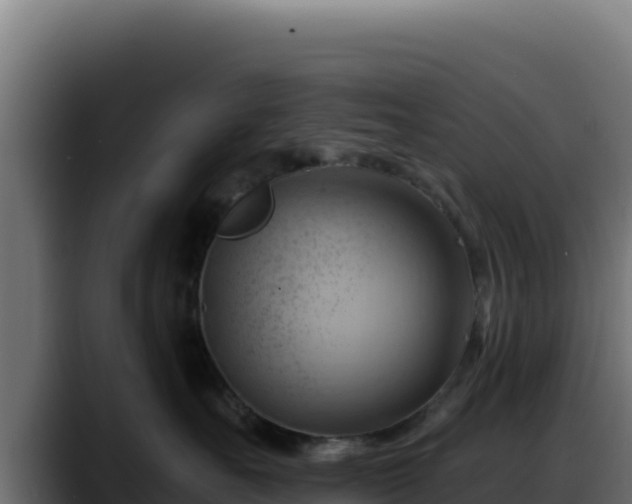 X0000088380527200705291350