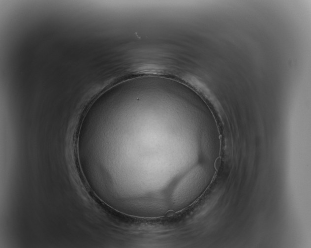 X0000088380529200705291349