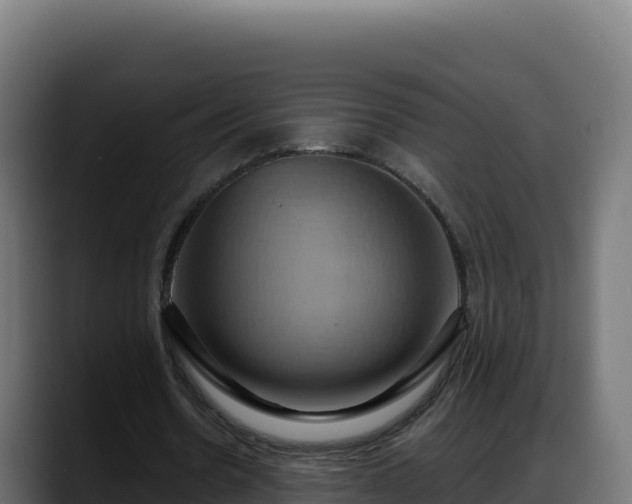 X0000088380530200705291349