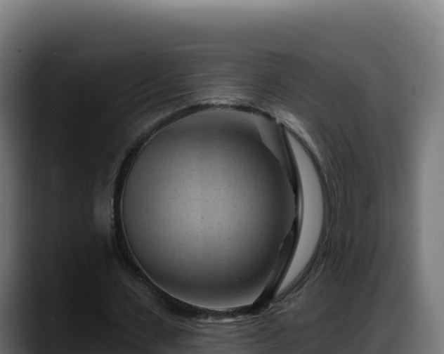 X0000088380531200705291349