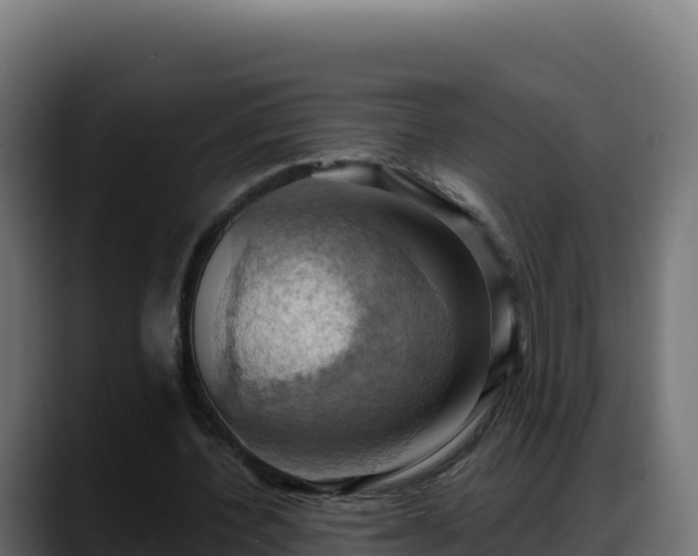 X0000088380532200705291349