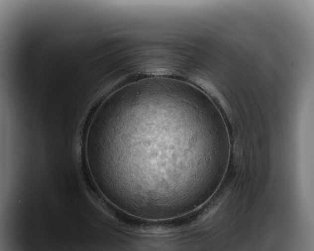 X0000088380533200705291349