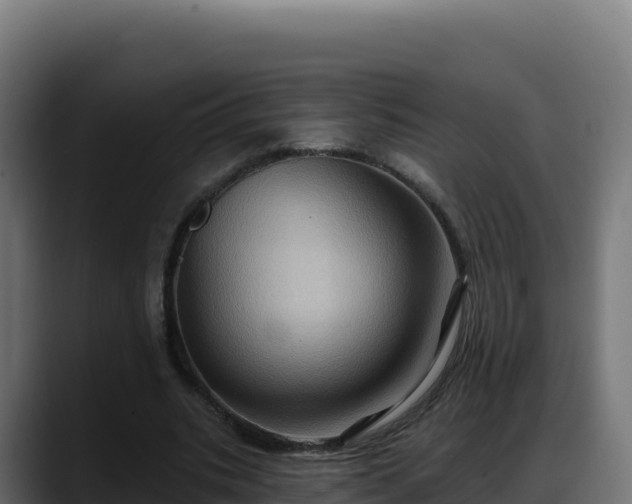 X0000088380535200705291349
