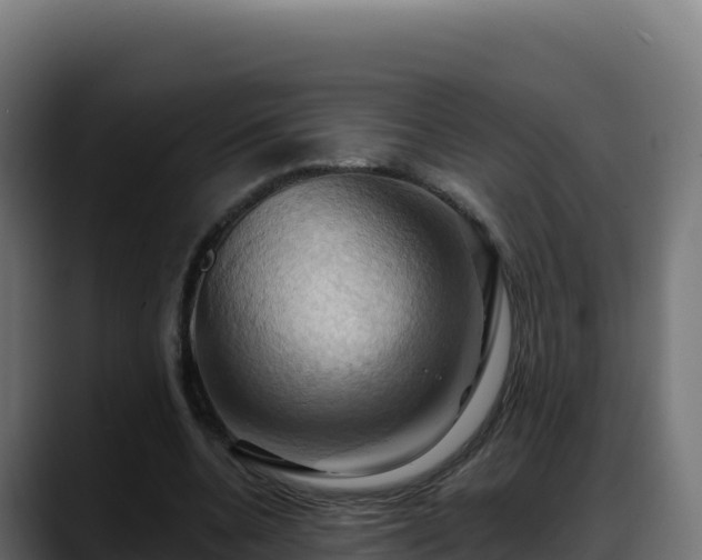 X0000088380536200705291349