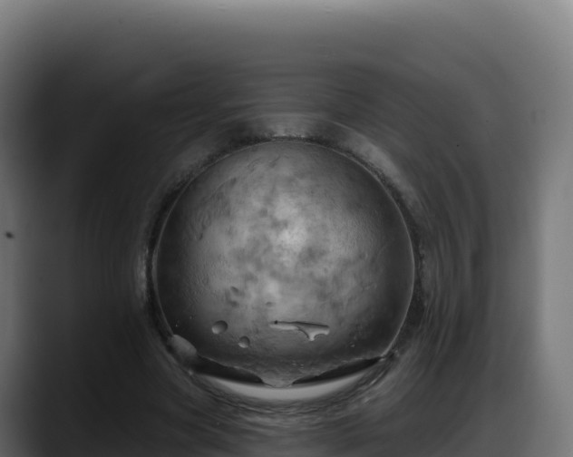 X0000088380537200705291350