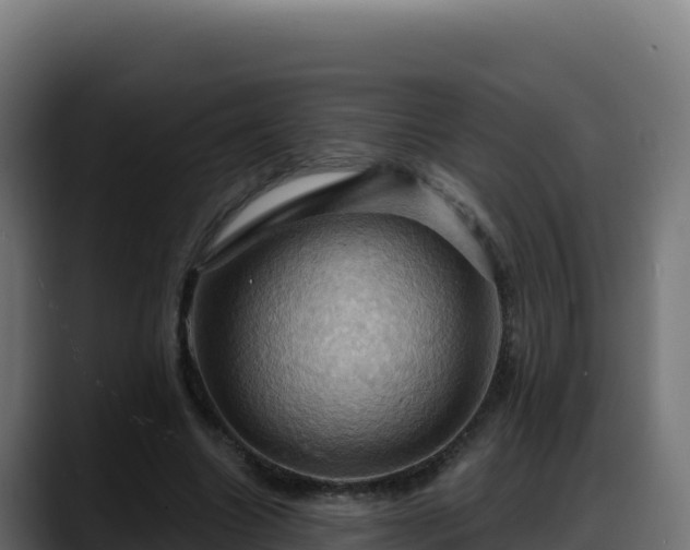 X0000088380538200705291350