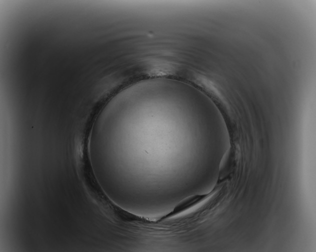 X0000088380539200705291350