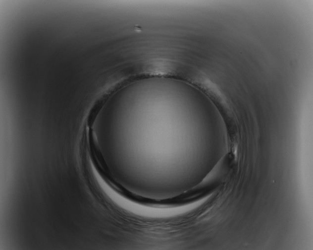 X0000088380540200705291350