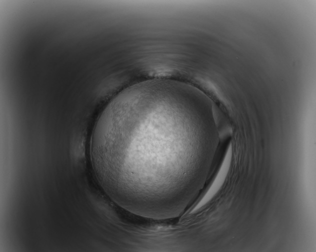 X0000088380543200705291350