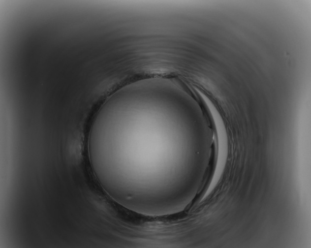 X0000088380544200705291350