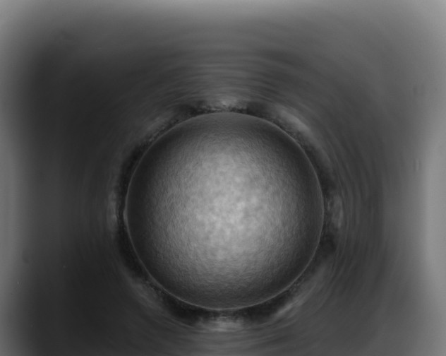 X0000088380546200705291350