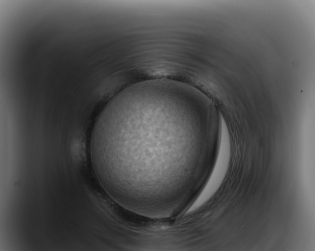 X0000088380547200705291350
