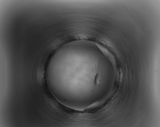 X0000088380548200705291350