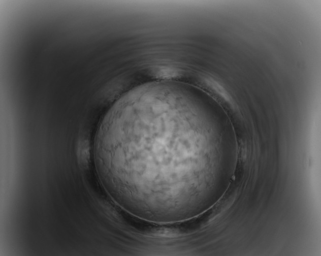 X0000088380549200705291350