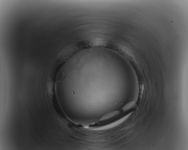 X0000088380550200705291350