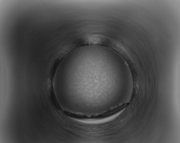 X0000088380551200705291350