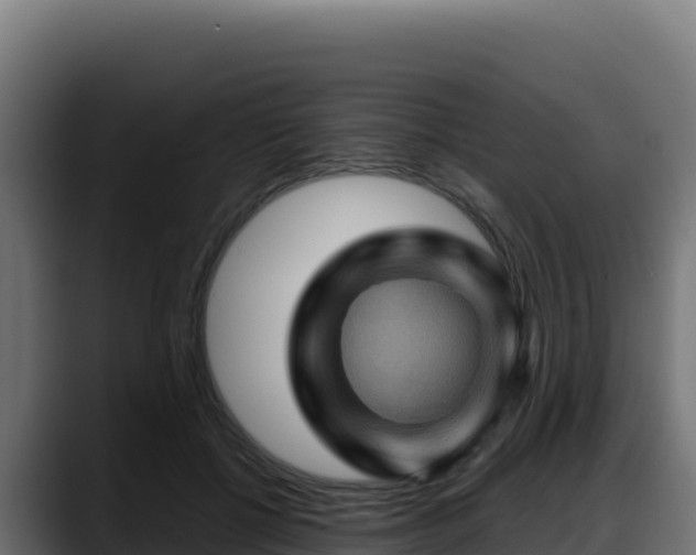 X0000088380552200705291350