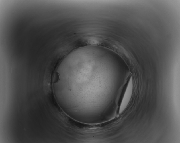X0000088380553200705291350