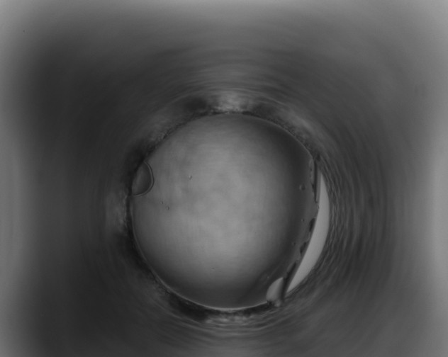 X0000088380554200705291350