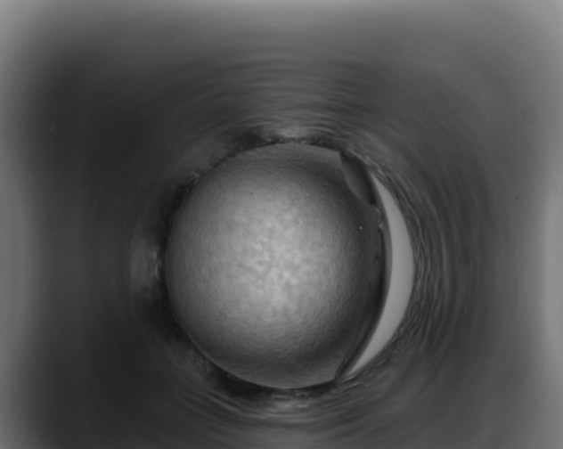 X0000088380555200705291350