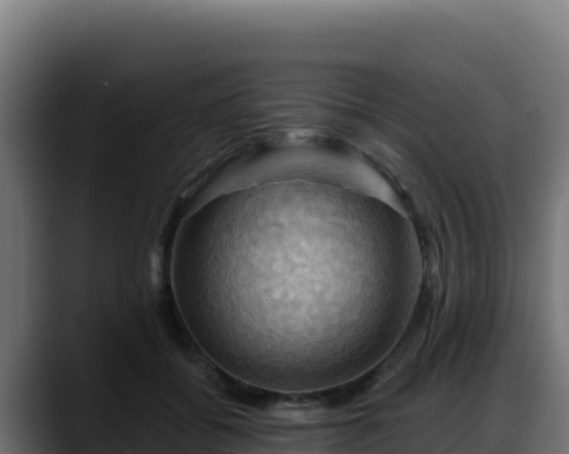 X0000088380556200705291350